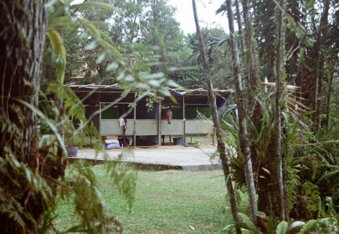 Photo boho terrace